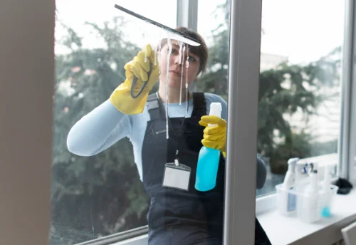 Nettoyage de vitres intérieures et extérieures à Chambilly